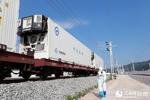磨憨鐵路口岸 構(gòu)筑舌尖自由的冷鏈大通道